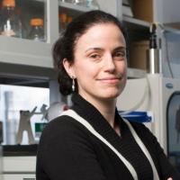 Elisa Konofagou, PhD, professor of Biomedical Engineering, Columbia University
